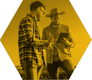 sap.io
