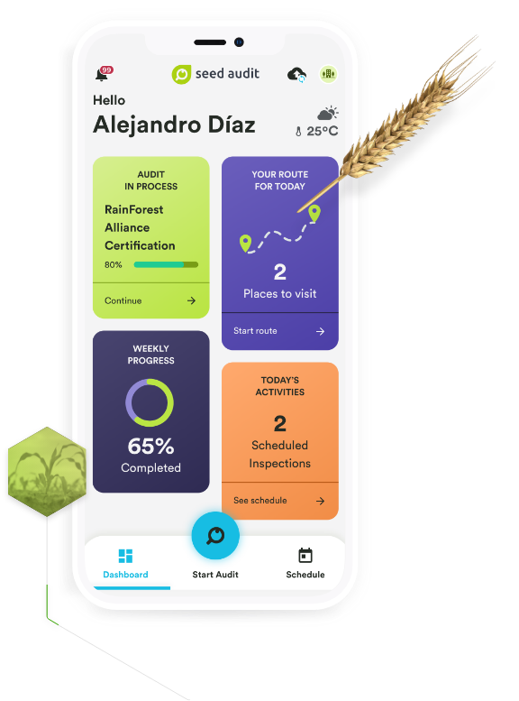 seedaudit